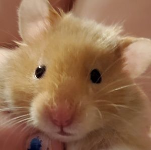 Meet your Posher, Jami